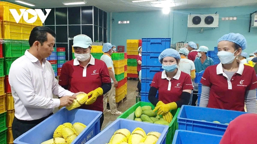 Vietnam - US leadership call eases business concerns, spurs trade optimism